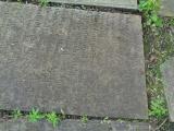 image of grave number 810543